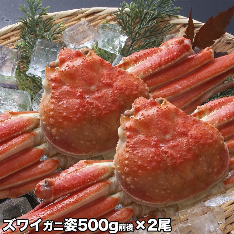 ズワイガニ　2尾で1kg前後